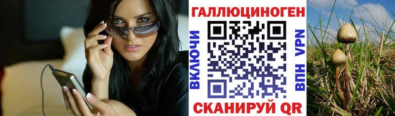 как найти наркотики  Городище  Галлюциногенные грибы Magic Shrooms 